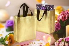 metallized-non-woven-box-bags-lopp-box-bag-gift-bag-handel-bag-1000x1000_20240703_15492155