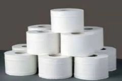 toilet-roll-90-gram-1000x1000