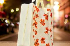 non-woven-15-19inch-shopping-totebags-handle-bags-gifts-and-original-imahyrruqrybcf7f_1720027710254